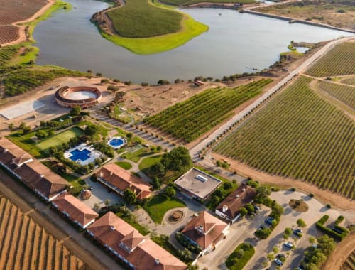 Vila Galé Alentejo Vineyards