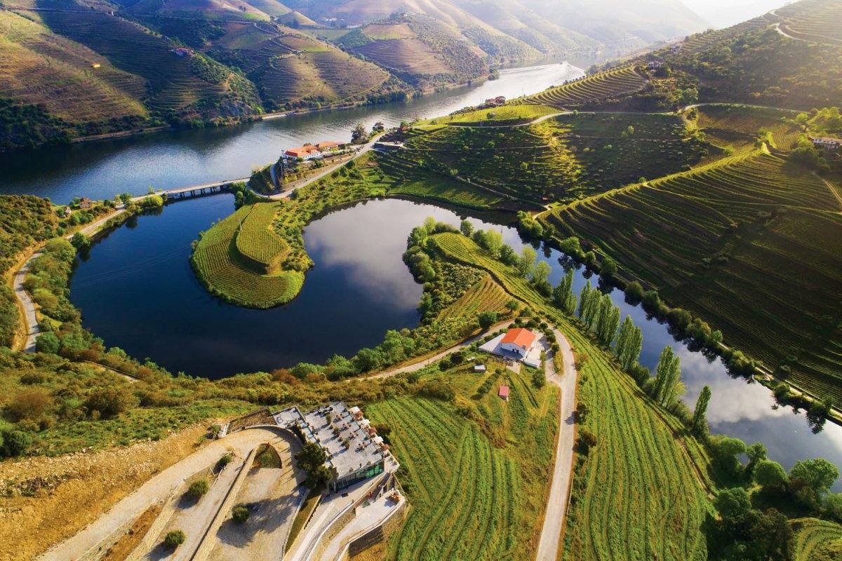 Vinhedos em socalcos ao longo do rio Douro, Portugal